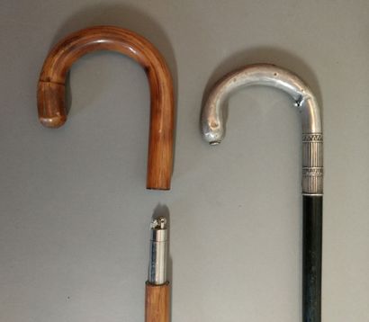 Set of seven system canes

H. 80 to 93 c...