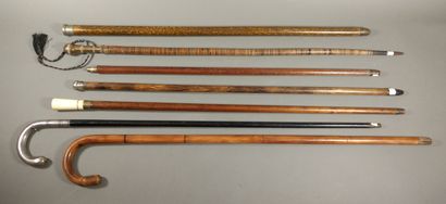 Set of seven system canes

H. 80 to 93 c...