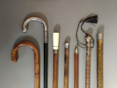 Set of seven system canes

H. 80 to 93 c...