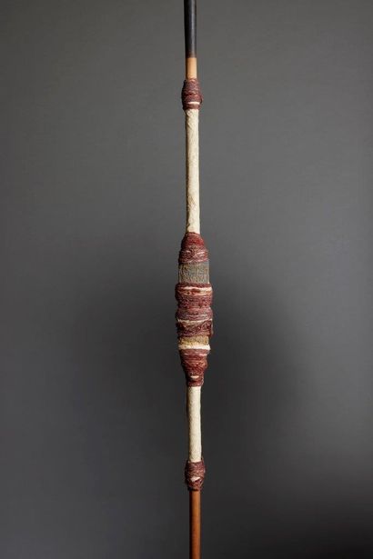 Kanak money thrower
New Caledonia
Bamboo,...