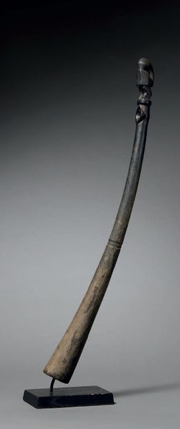 Senoufo horn
Ivory Coast
Wood
H. 73,5 cm
Provenance...