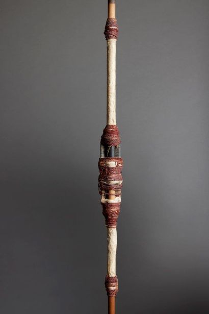 Kanak money thrower
New Caledonia
Bamboo,...