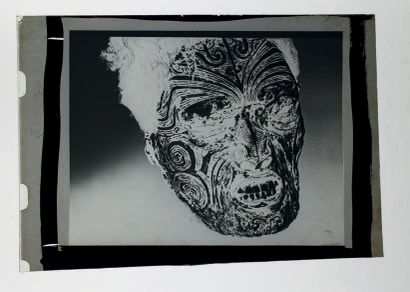 Set of fifteen photographs on glass plates...