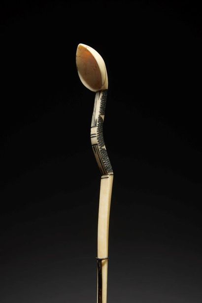 Cuillère Zulu
Afrique du Sud
Os
H. 19 cm
Provenance...