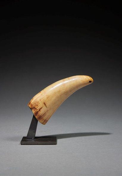 * Pendant
Fiji
Walrus tooth
H. 13 cm
Provenance...
