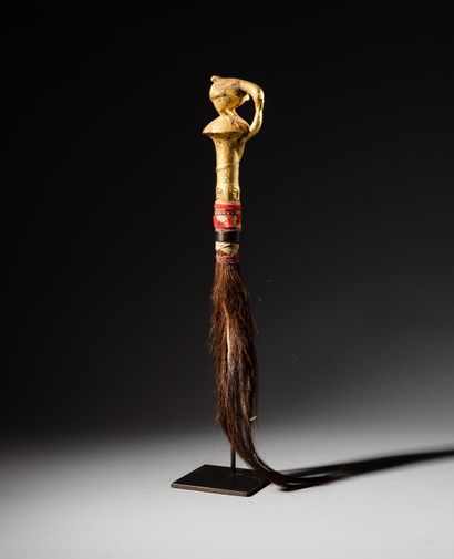 Nandwa Blawa Baoule flycatcher,
Ivory Coast
Wood,...