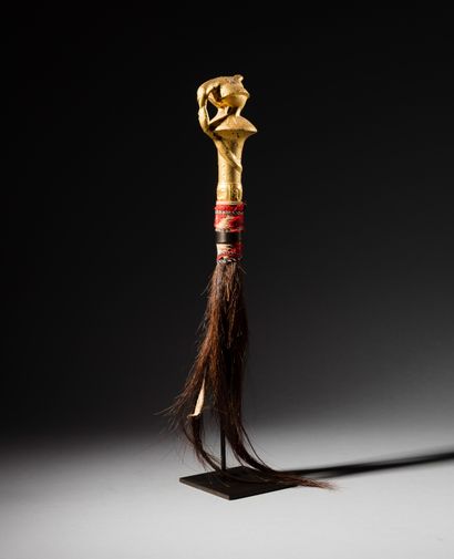 Nandwa Blawa Baoule flycatcher,
Ivory Coast
Wood,...