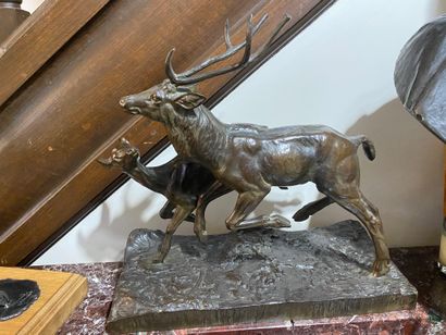 Charlotte BERTRAND (XIX - XXe siècle)
Stag...