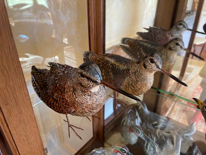 SYLVESTRIE
Three woodcocks
Sculptures in...