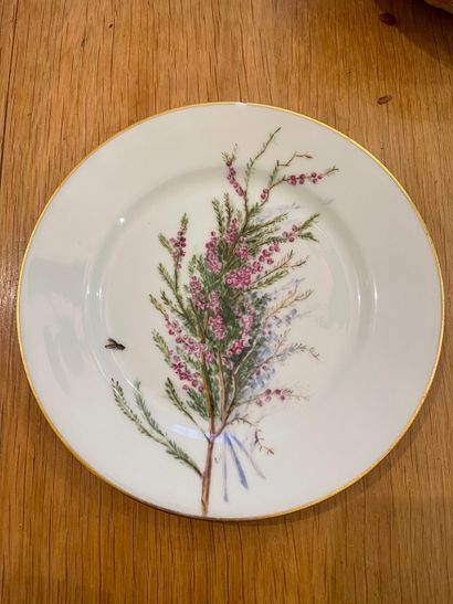 PARIS
Ten porcelain plates with polychrome...