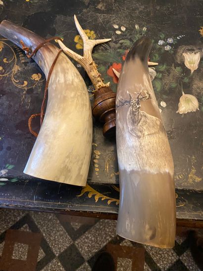 Two bovine horns, one carved with a stag
L....