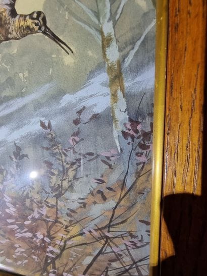 HELLER (Actif vers 1900)
Hunting dog
Birds
Two...