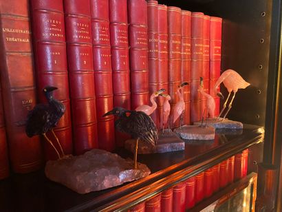 Four groups of flamingos or birds in pink...