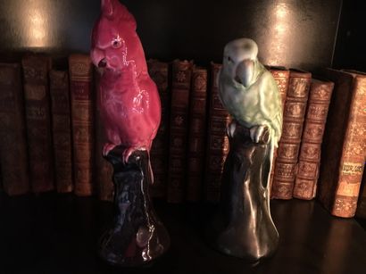 Allemagne
Two porcelain parakeets with polychrome...