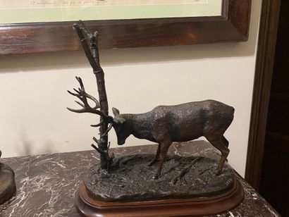 R. MORENO (XXe siècle)
Stag scratching his...
