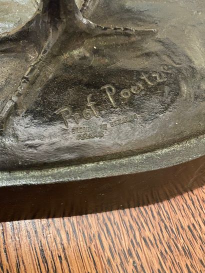 Paul POERTZEL (1819 - 1930)
Couple of pheasants
Bronze...