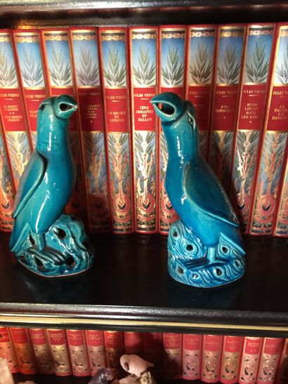 CHINE
Pair of parrots in turquoise blue enamel
19th...