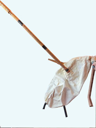 Oriental bagpipe made of goat skin
Expert...