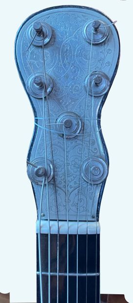 Russian guitar with seven strings, various...