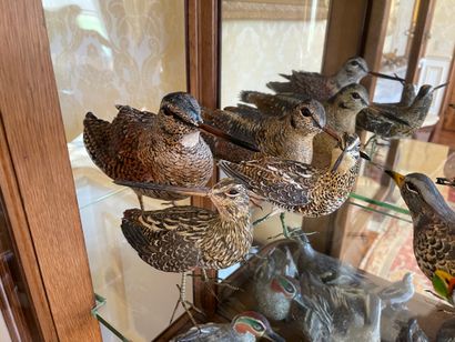 SYLVESTRIE
Three woodcocks
Sculptures in...
