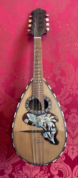 Neapolitan mandolin with a 