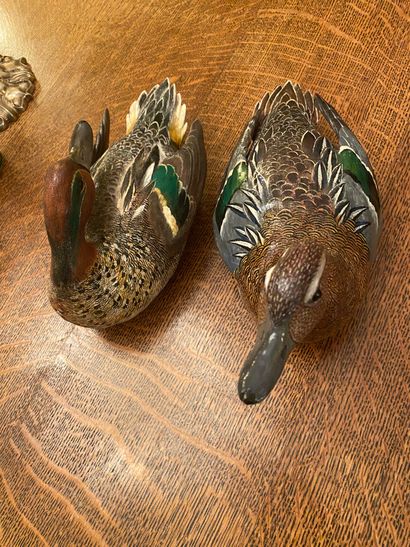 SYLVESTRIE
Teal winter - teal summer
Two...