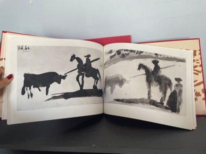 [Pablo PICASSO] 