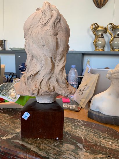 
French school of the end of the 19th century

Bust...