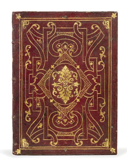 MANUSCRIT. - Diploma of doctor of philosophy...