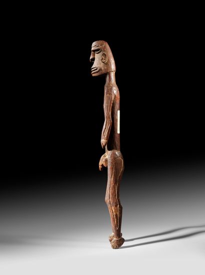 STATUE ASMAT, PAPOUASIE OCCIDENTALE
Bois
H....