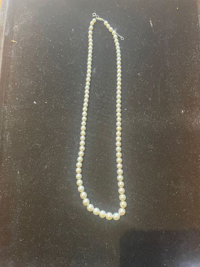 Necklace of cultured pearls
In fall
Clasp...