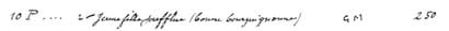 Amedeo MODIGLIANI (1884-1920)
La Bourguignonne,...