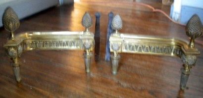 Paire de chenets à balustrade en bronze aux...