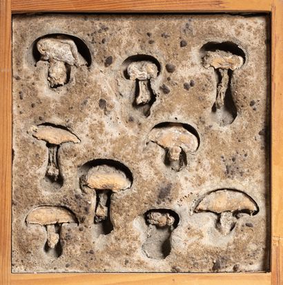 Roy ADZAK (1927-1987) Dehydrated Mushrooms,...