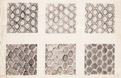 Bernard PAGES (b. 1940) Essai de mise en...