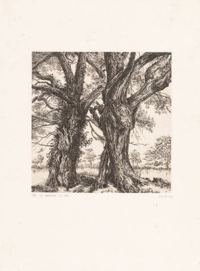 François HOUTIN (b. 1950) Les Gardiens du...