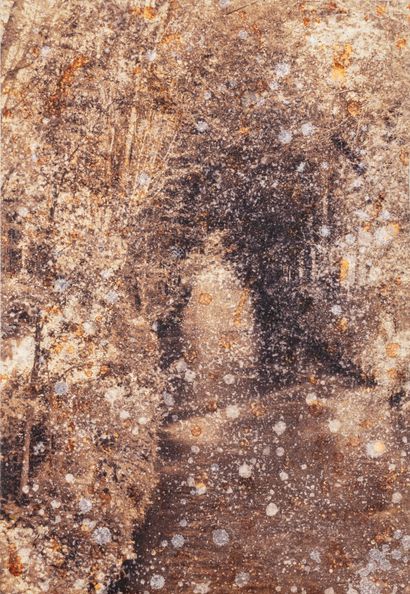 Candida ROMERO (Born 1966) Untitled Photographic...
