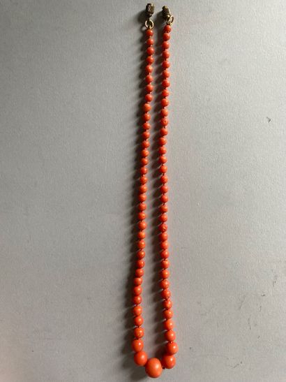 Drop coral beads necklace
Gilded metal clasp
Gross...