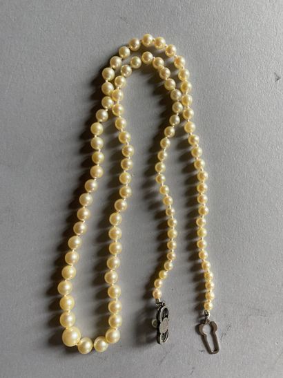 MIKIMOTO TOKYO
Necklace of cultured pearls
Signed...