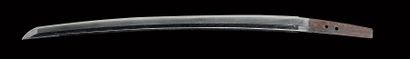 Shinto wakizashi
EDO period (1603 - 1868)...
