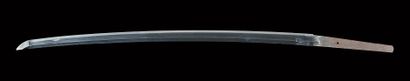 Shinto katana
EDO period (1603 - 1868)

Unsigned...