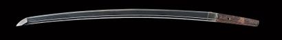 Shinto wakizashi
Early EDO period (1603 -...