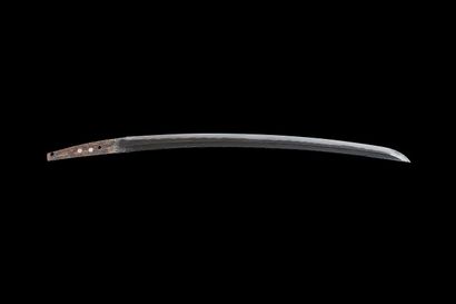 Koto wakizashi
MUROMACHI period (1333 - 1573)

Unsigned...