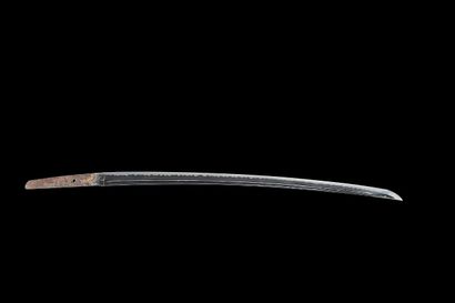 Shinto Katana
Middle EDO period (1603 - 1868)

Signed...