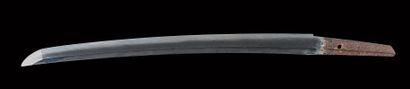 Shinto wakizashi
MOMOYAMA period (1573 -...