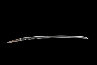 Koto wakizashi
MUROMACHI (1333 - 1573) /...