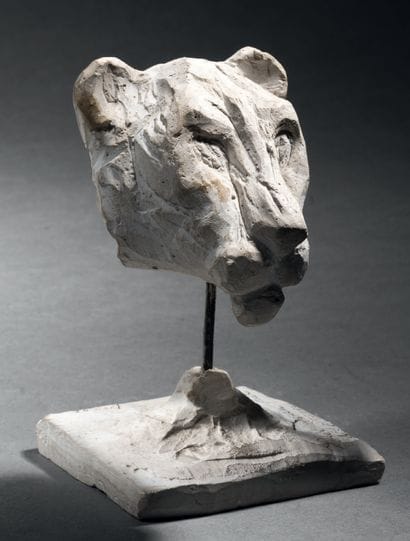 Diego GIACOMETTI (1902-1985)
Lioness head,...