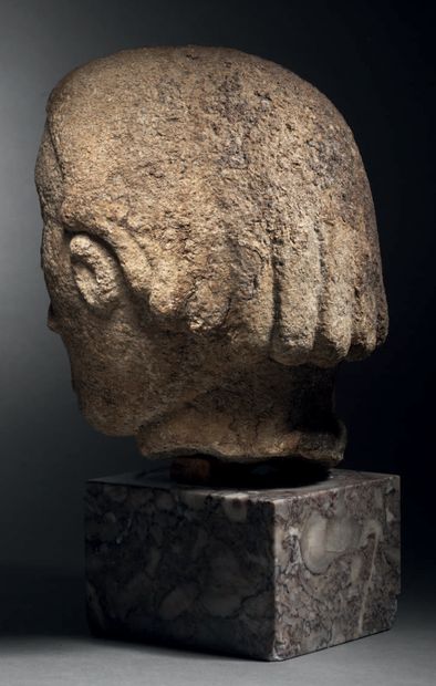 Male head
The flat, heart-shaped face features...