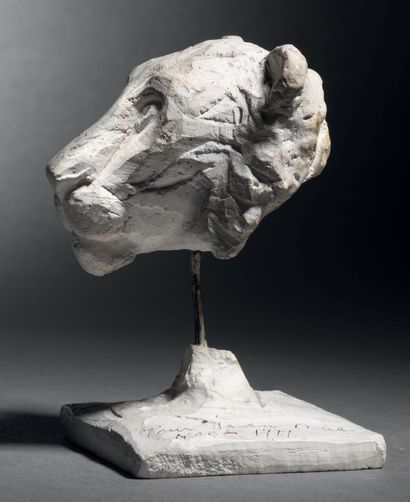 Diego GIACOMETTI (1902-1985)
Lioness head,...