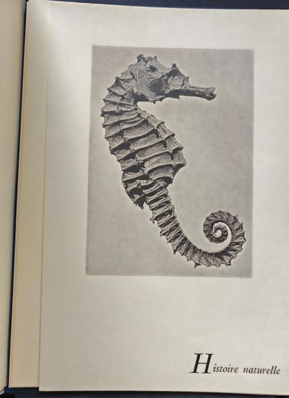 MAN RAY
PHOTOGRAPHY IS NOT ART. Paris, GLM,...